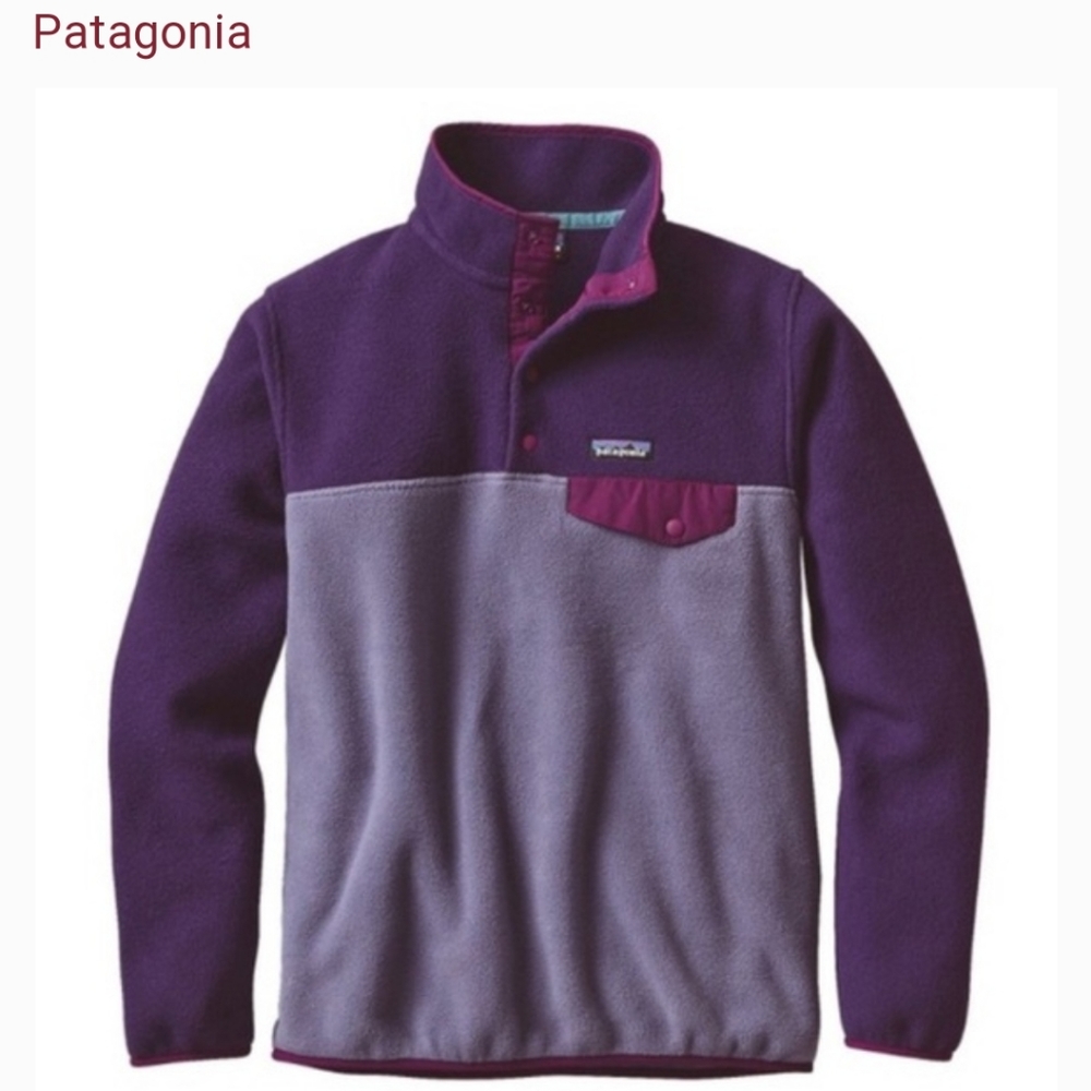 Patagonia synchilla fleece small